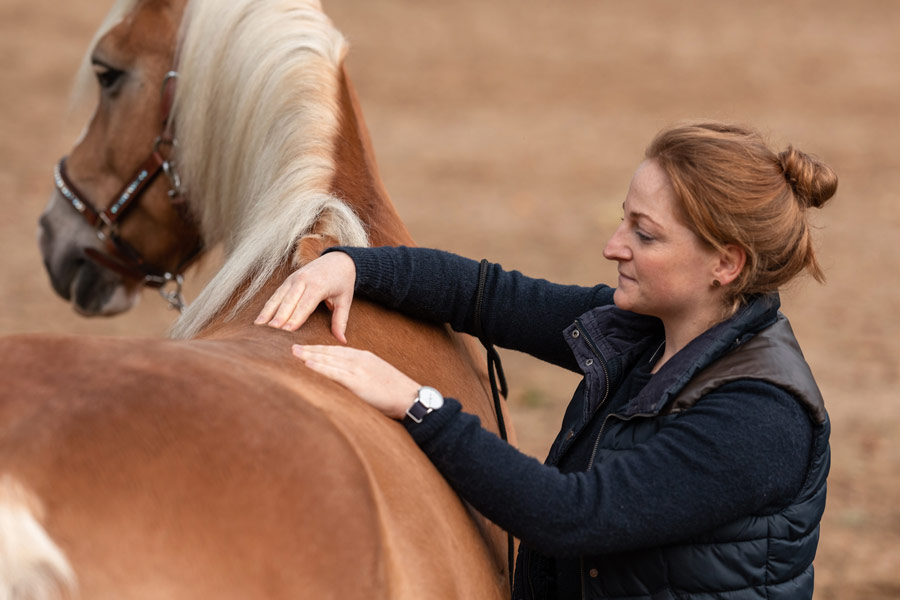 Horsebeat Pferdefotografie