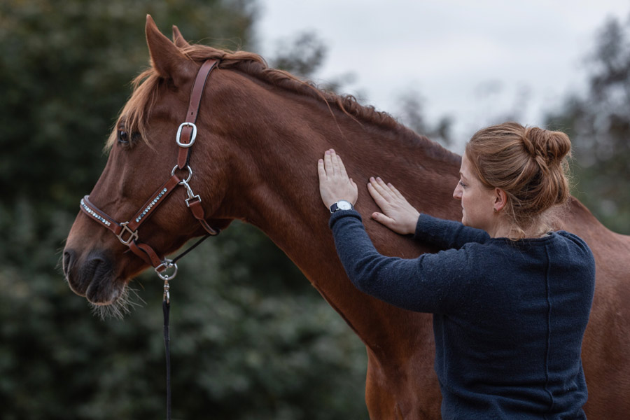 Horsebeat Pferdefotografie