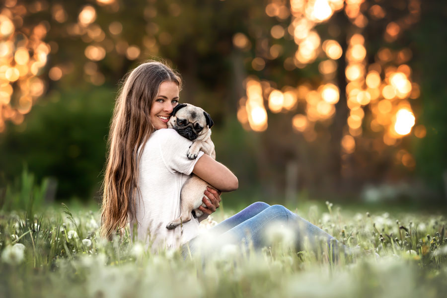 Hundefotografie